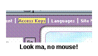 screenshot of site using access keys